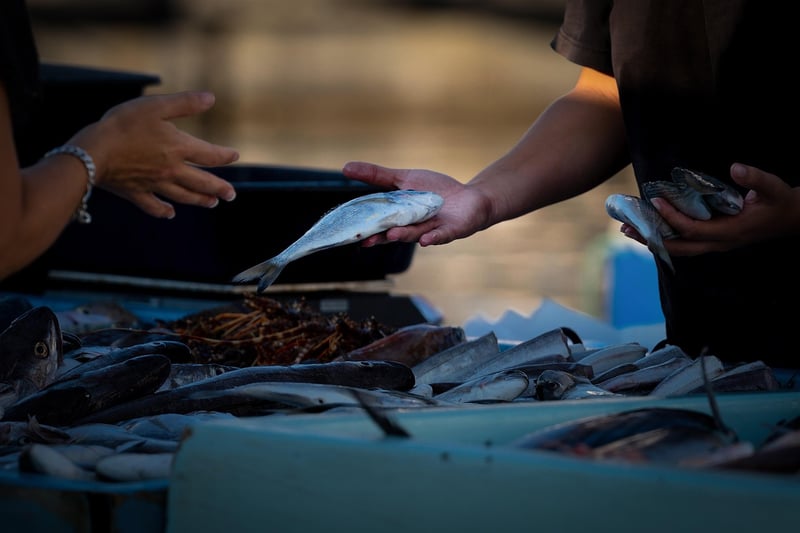 Tsukiji Fish Market, Tokyo